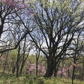 Review photo of Hackberry Hollow Campground — Indian Cave State Park by Meaghan S., April 22, 2019