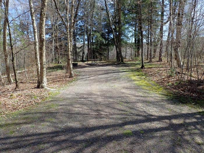 Chippewa NF Campground Medford WI