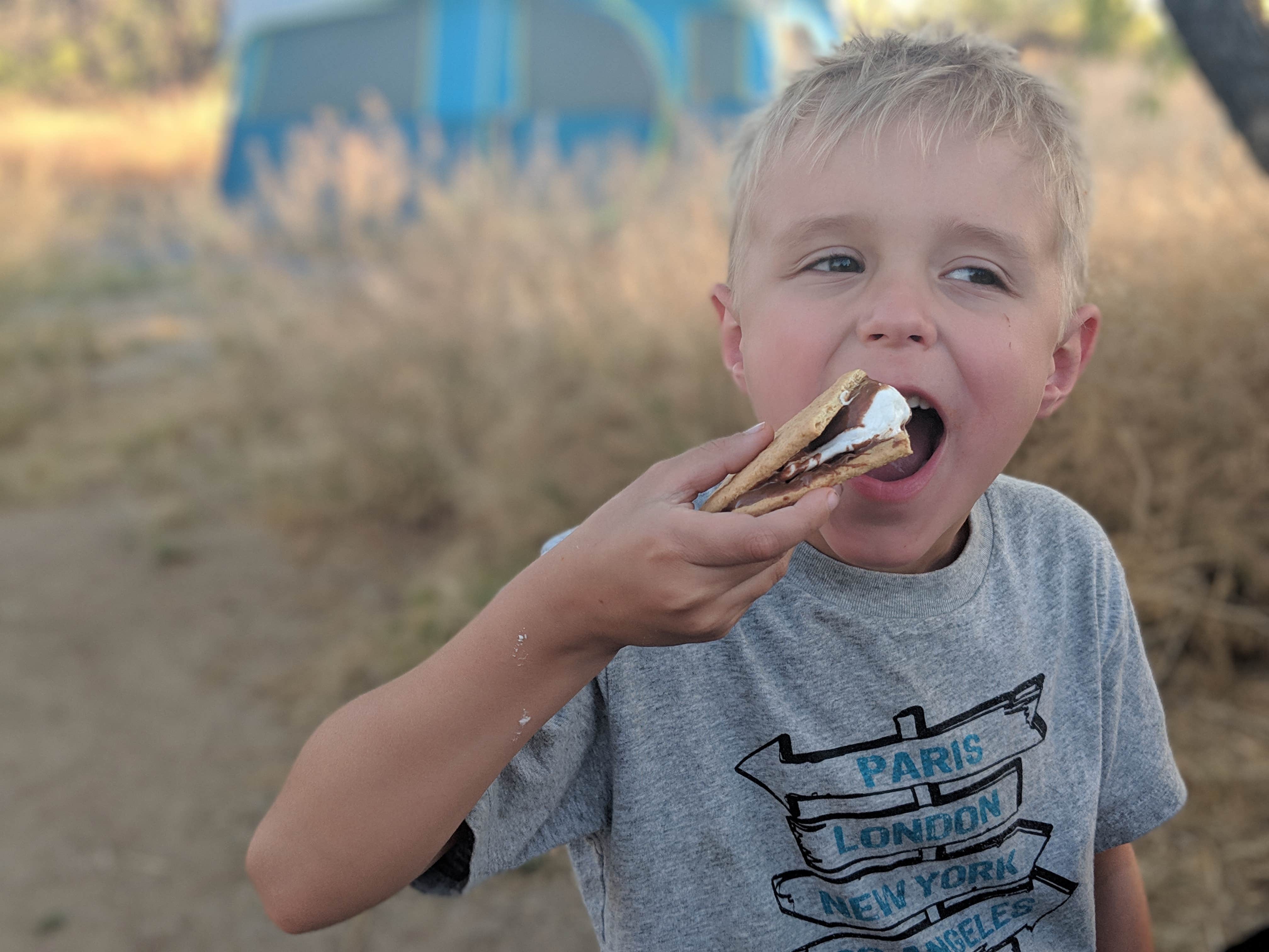 Ashley C.'s photo of camping with pets at Catalina State Park Campground near Catalina, AZ