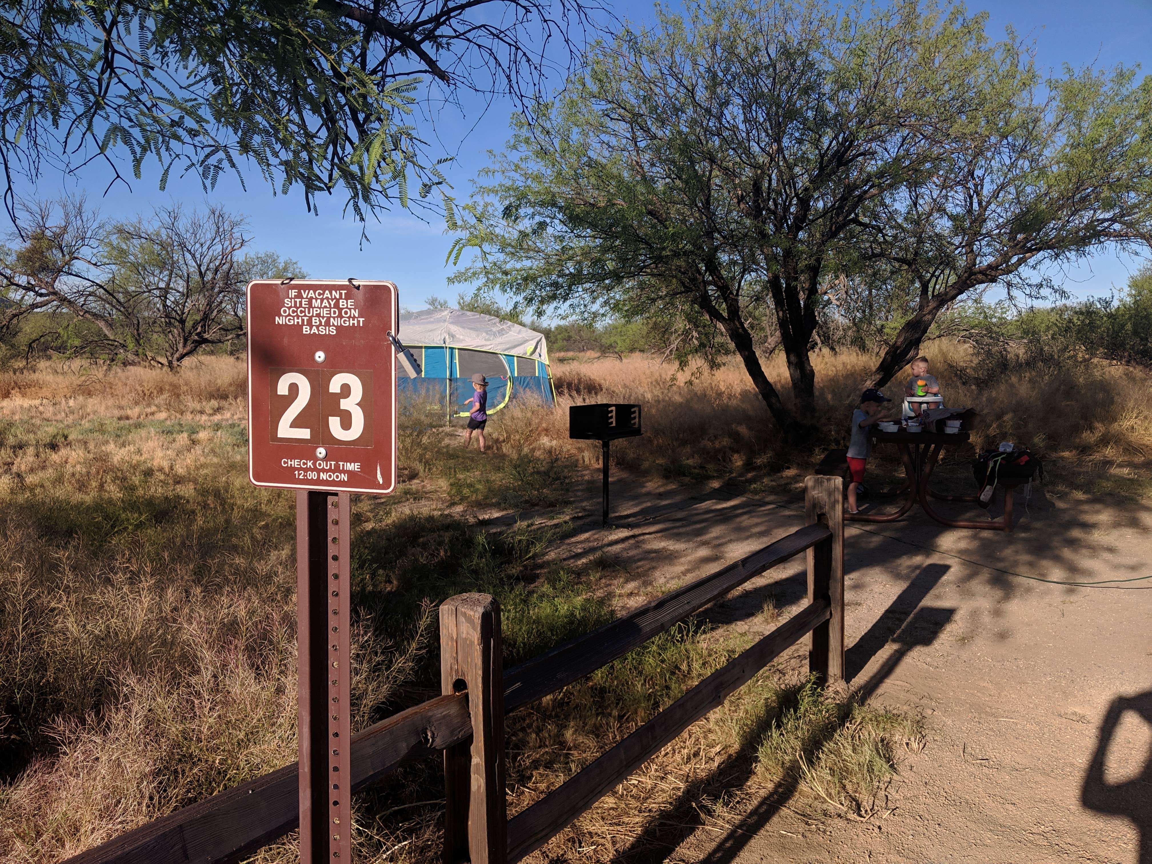 Camper submitted image from Catalina State Park Campground - 5