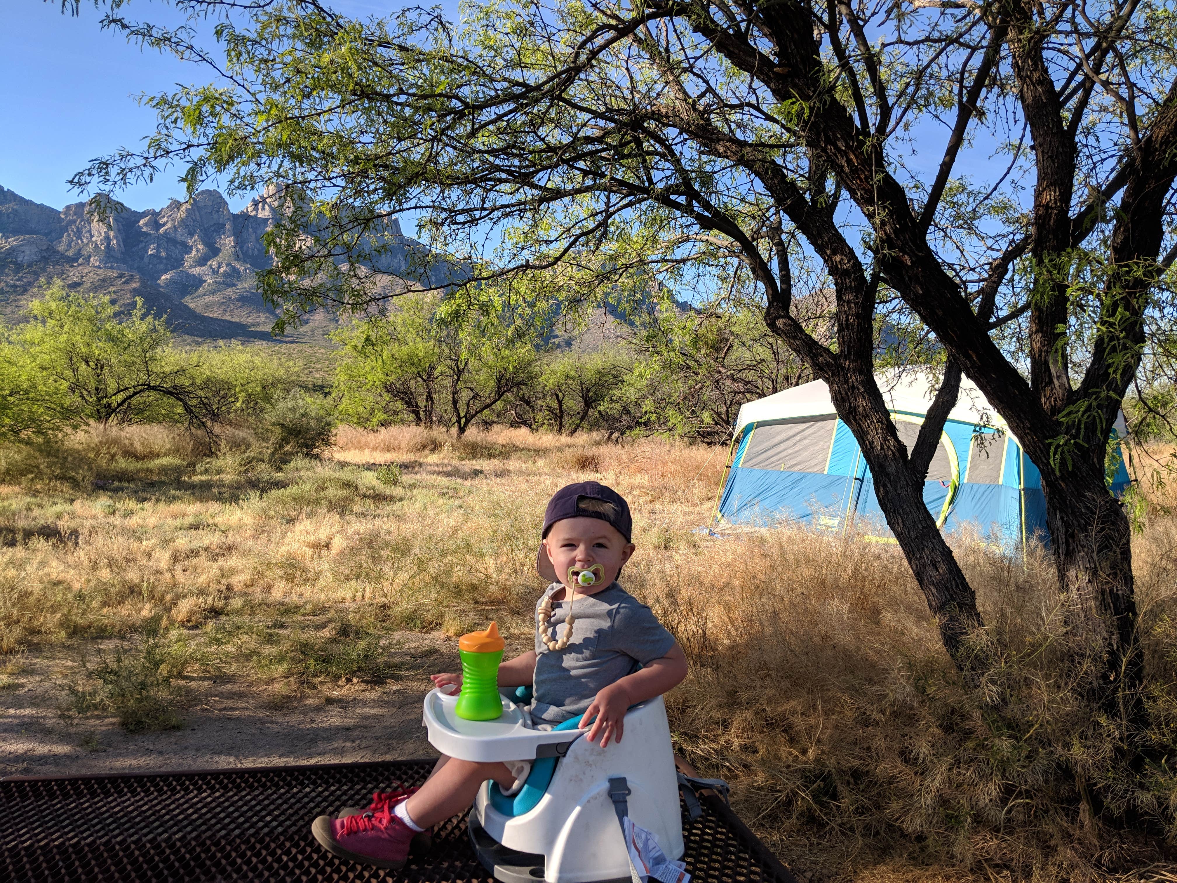 Ashley C.'s photo at Catalina State Park Campground near Oracle, AZ