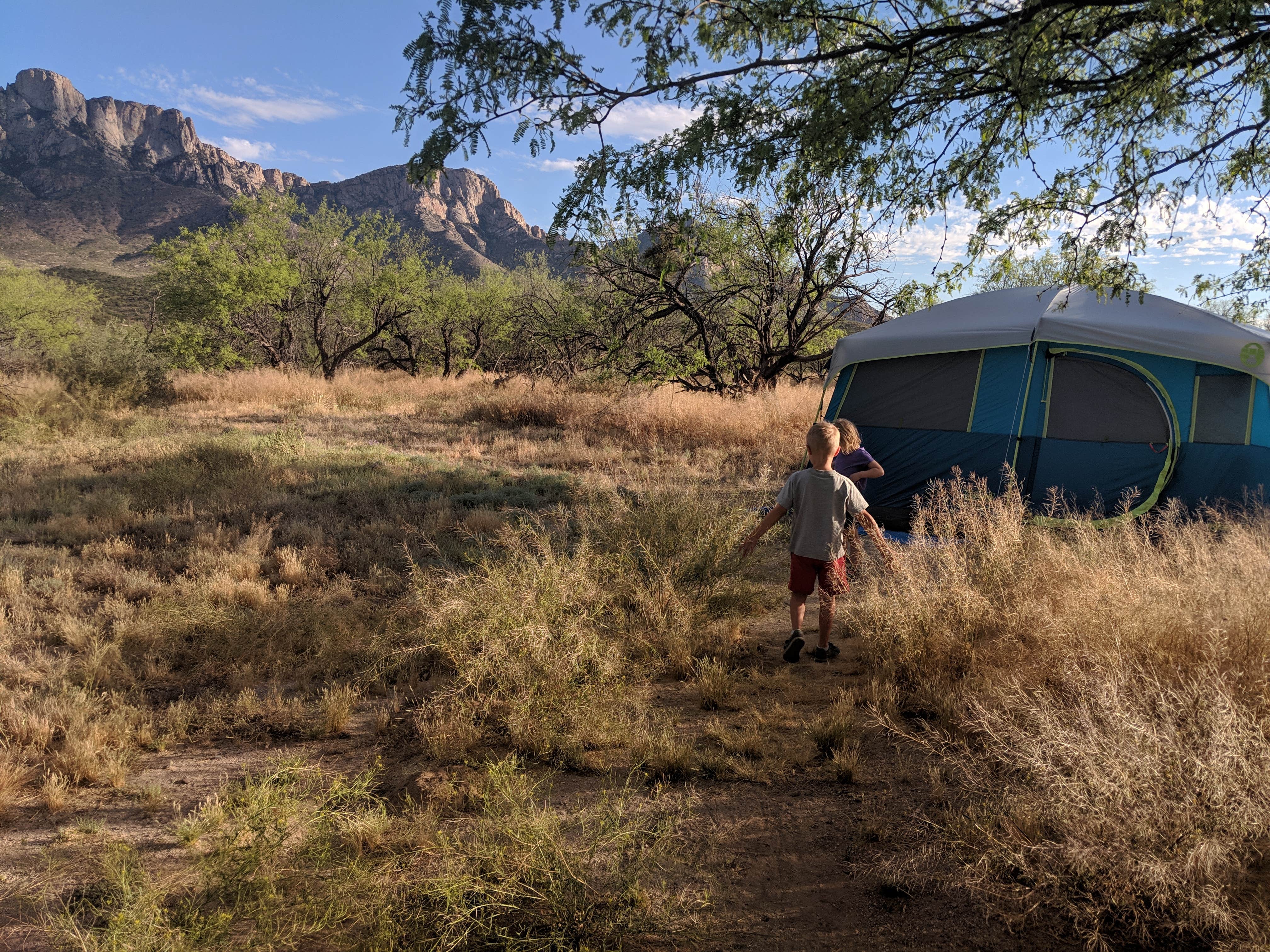 Ashley C.'s photo at Catalina State Park Campground near Tucson, AZ