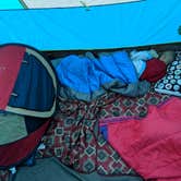 Review photo of Catalina State Park Campground by Ashley C., April 22, 2019