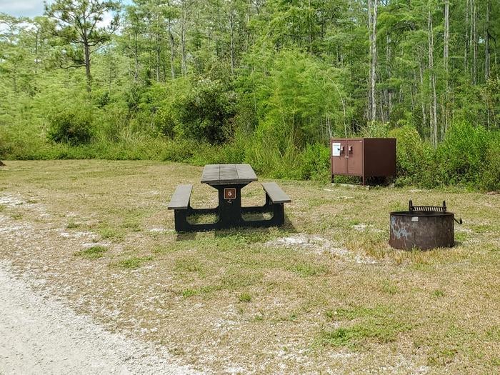 Camper submitted image from Burns Lake Campground — Big Cypress National Preserve - 3