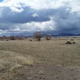 Review photo of Silos Campground by Dexter I., April 22, 2019