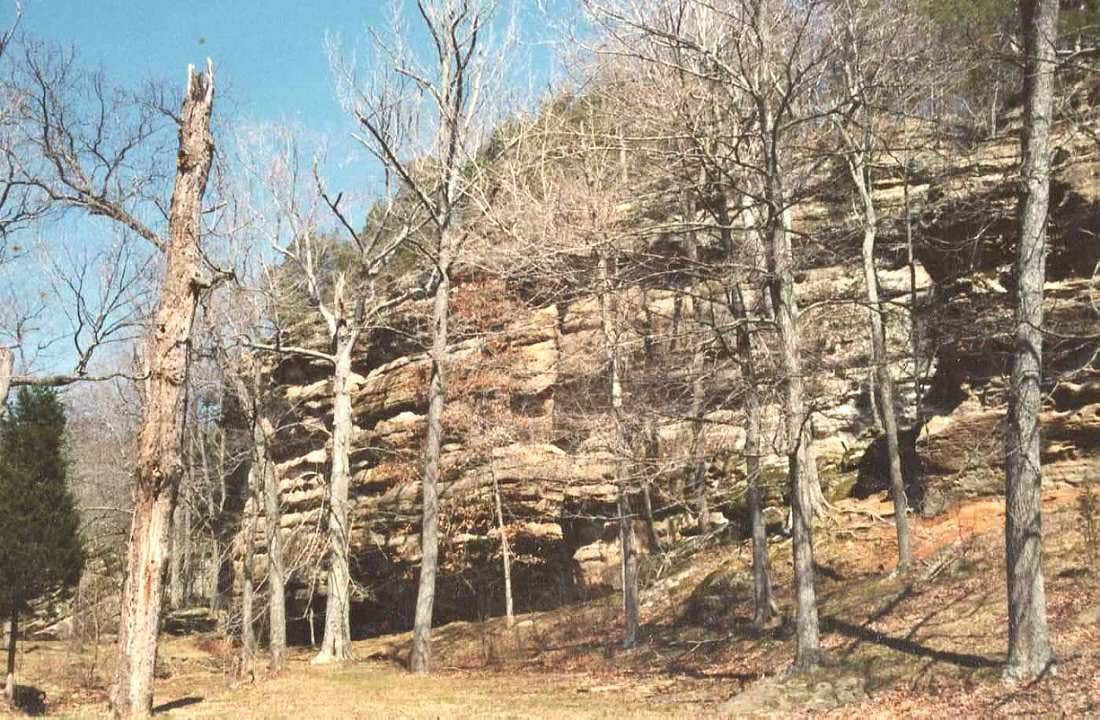 Camper submitted image from Backpack Campground — Ferne Clyffe State Park - 5