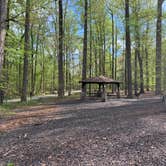 Review photo of Patapsco Valley State Park-Hilton Area by Angel G., April 22, 2019