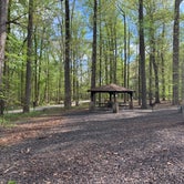 Review photo of Patapsco Valley State Park-Hilton Area by Angel G., April 22, 2019