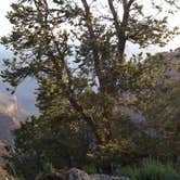 Review photo of Mather Campground — Grand Canyon National Park by Chris M., August 27, 2016