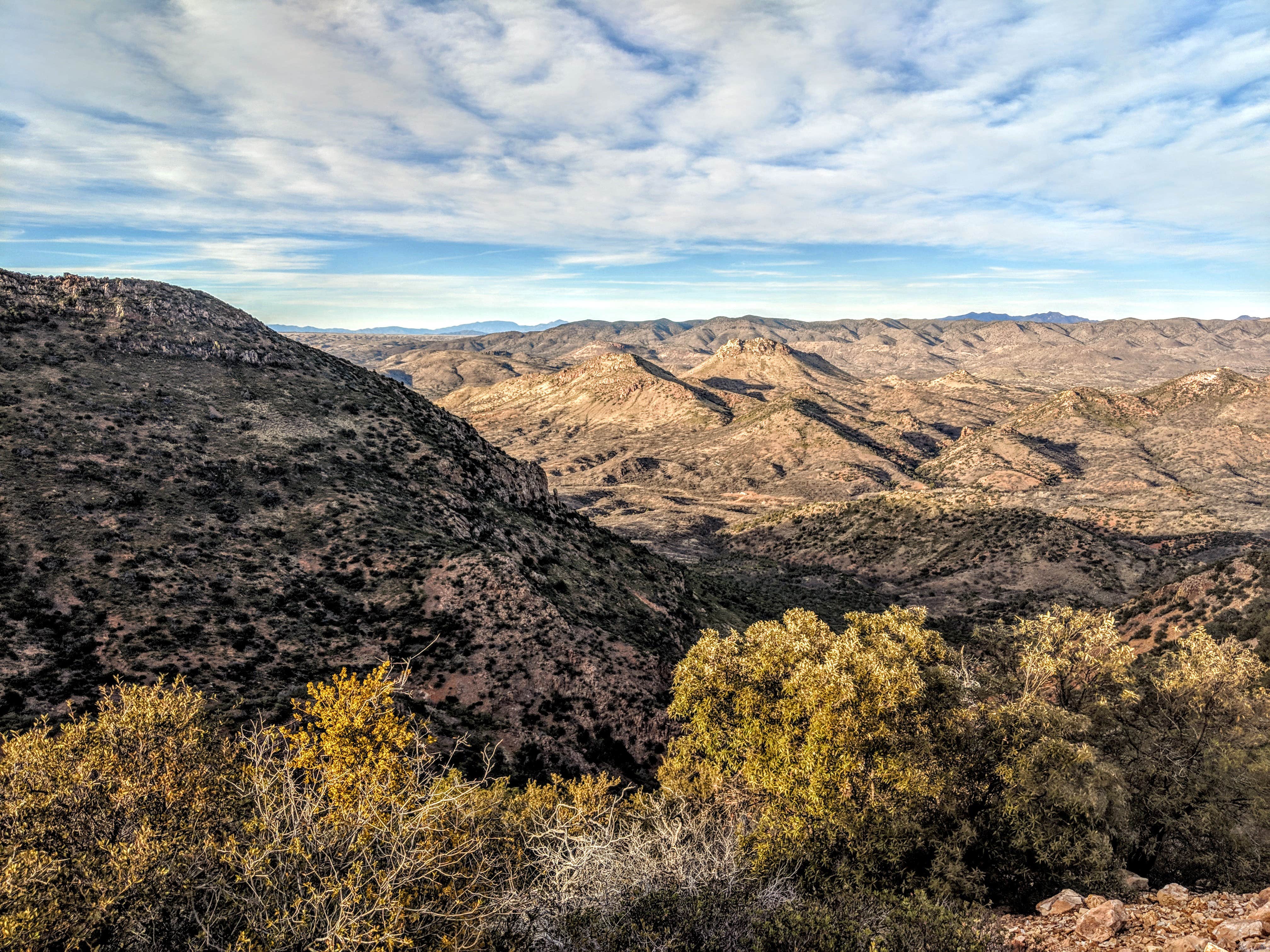 A bird's eye view of the region.