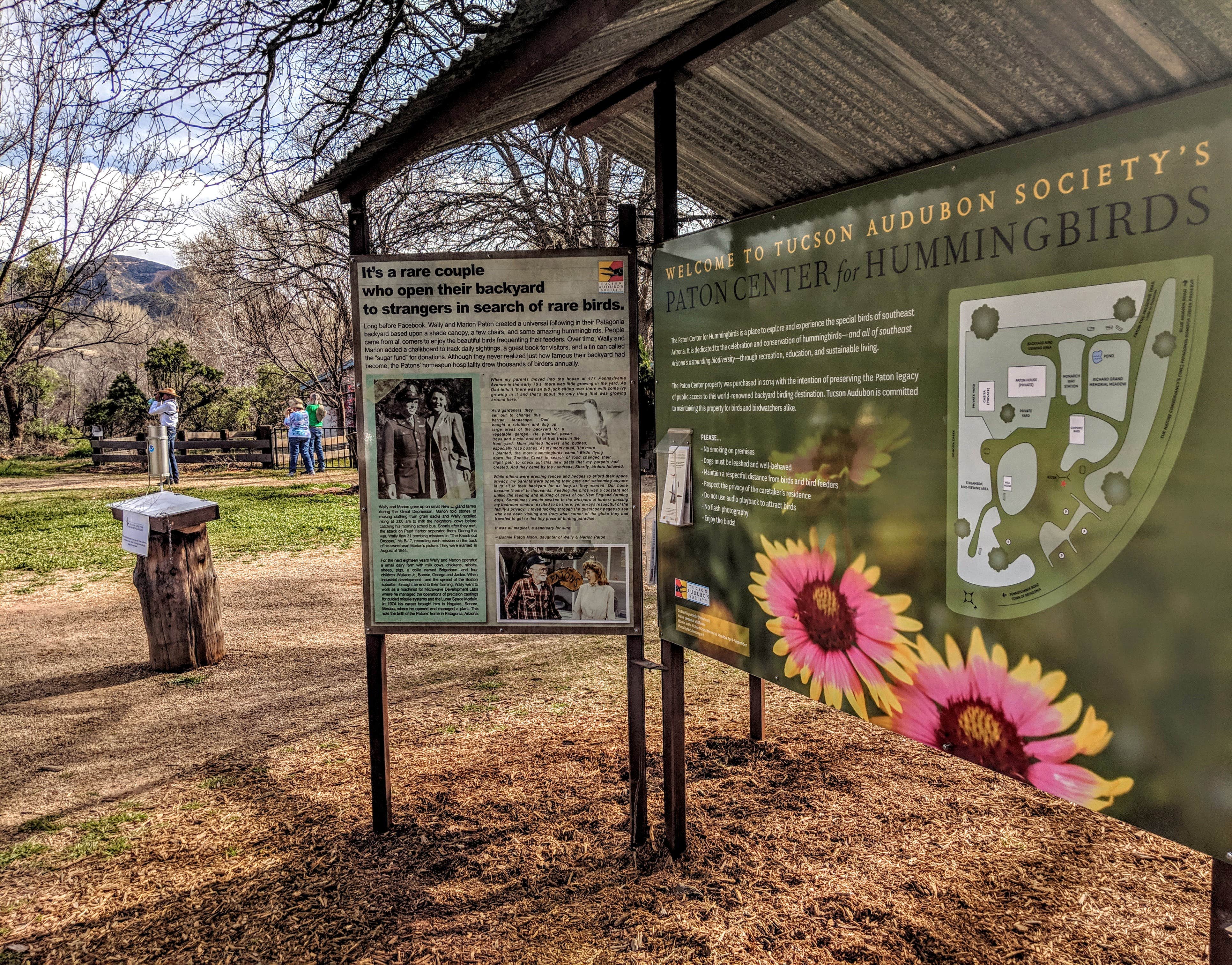 A must see for bird lovers and it's FREE!