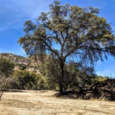 Review photo of Harshaw Road Dispersed Camping - San Rafael Canyon by Shari  G., April 23, 2019