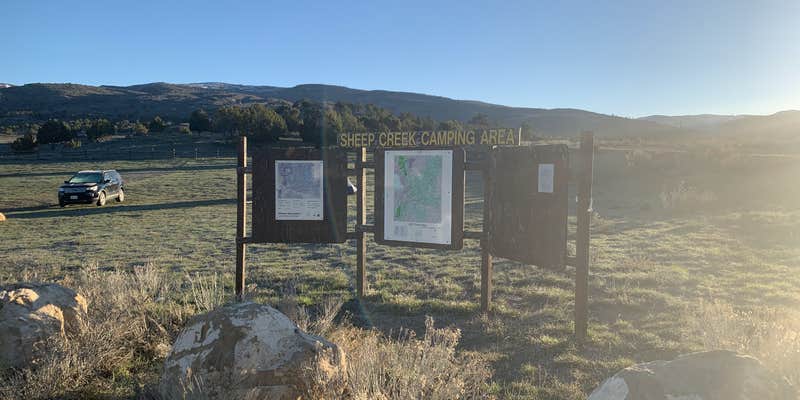 Camper submitted image from Sheep Creek