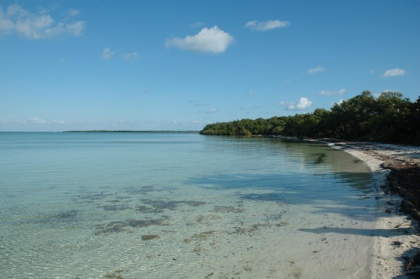 Camper submitted image from Elliott Key — Biscayne National Park - 5