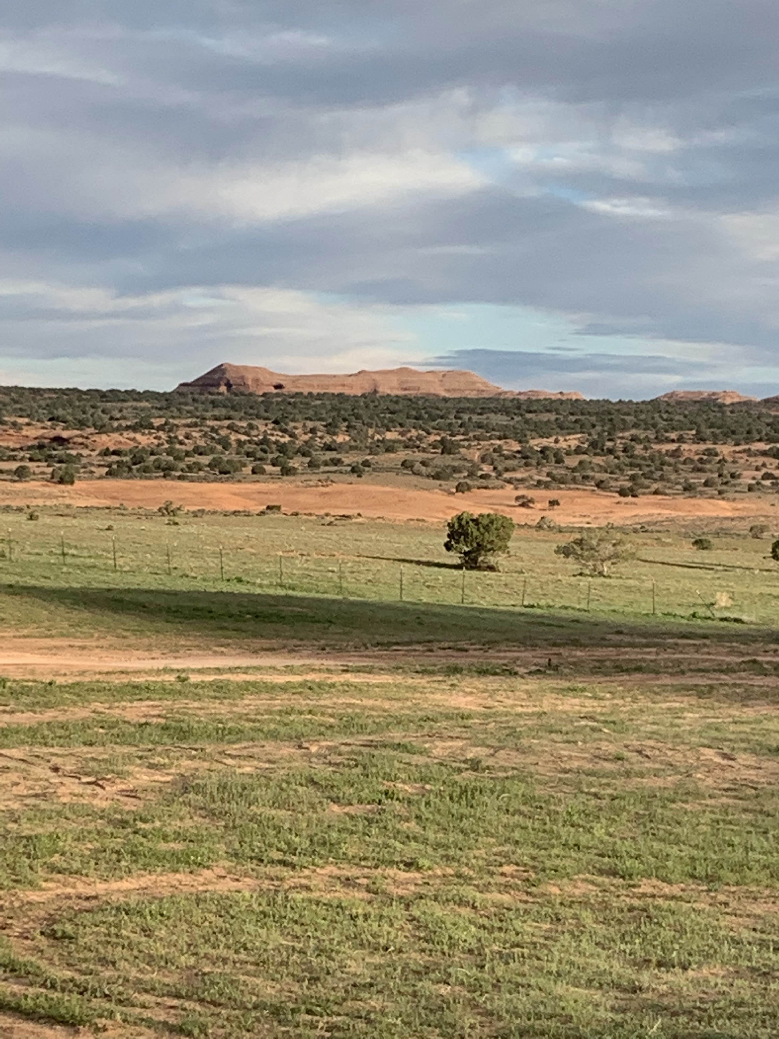 Camper-submitted photo at Yellow Circle Road Dispersed Camping Area near Castle Valley, UT