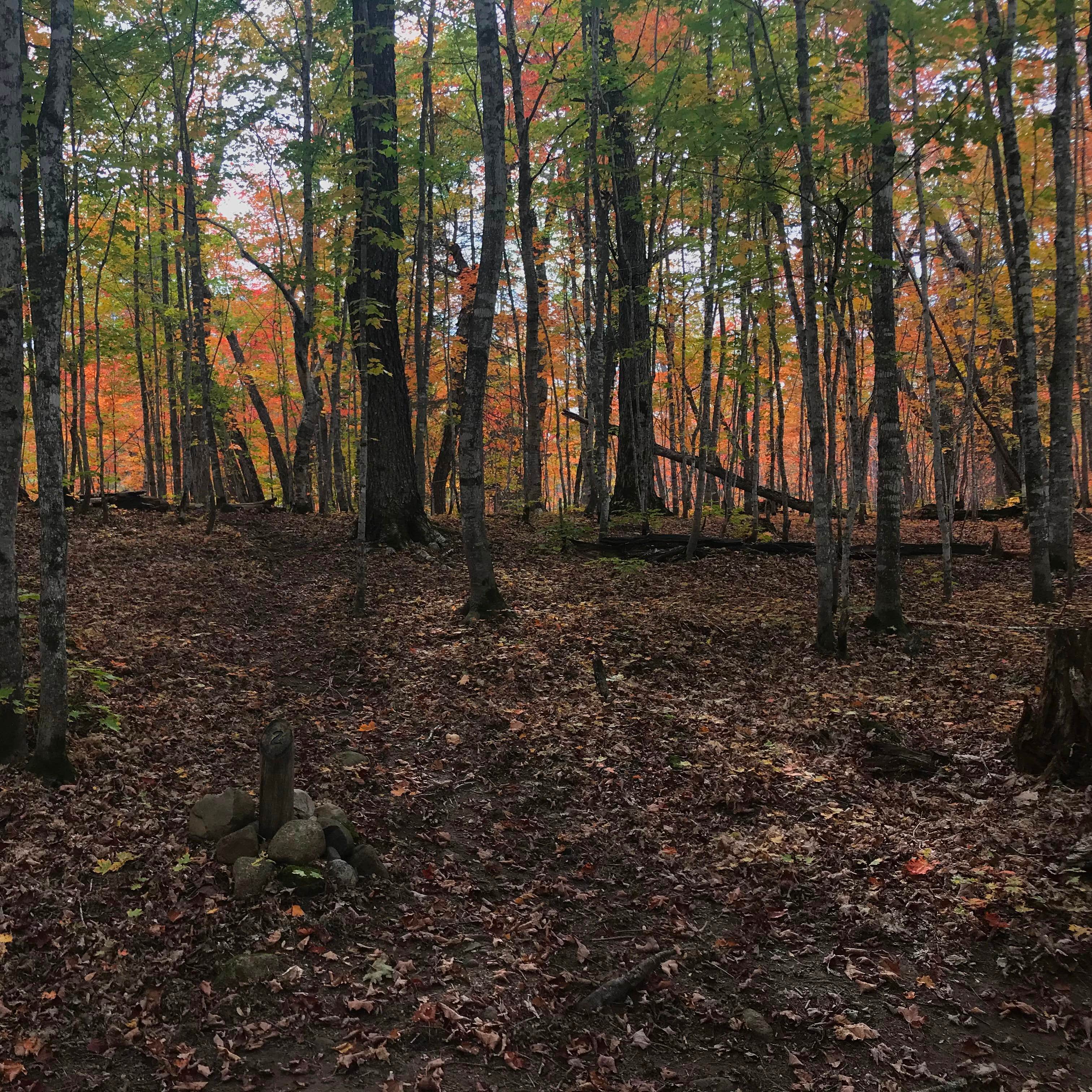Island Mine Campground — Isle Royale National Park