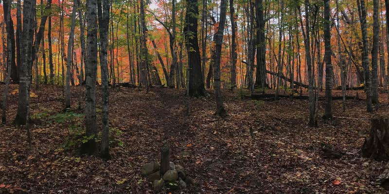 Camper submitted image from Island Mine Campground — Isle Royale National Park