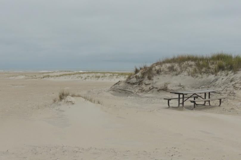 Camper submitted image from Little Levels Backcountry Site — Assateague Island National Seashore - 1