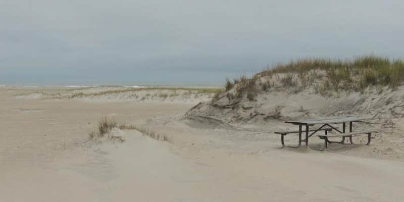 Camper submitted image from Little Levels Backcountry Site — Assateague Island National Seashore