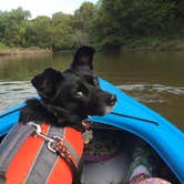 Review photo of Dunewood Campground — Indiana Dunes National Park by Jackie T., April 23, 2019