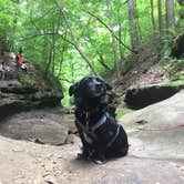 Review photo of Starved Rock Campground — Starved Rock State Park by Jackie T., April 23, 2019