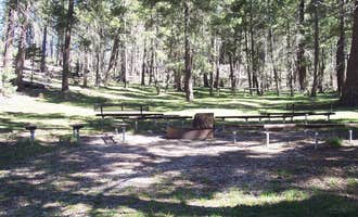 Camping near Cloud Climbing Railroad Cabin and RV Park: Upper Fir Group, Cloudcroft, New Mexico