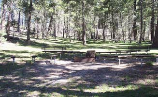 The Dyrt's photo at Upper Fir Group near Lincoln National Forest
