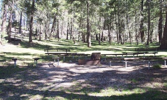 Camping near Sleepy Grass Campground: Upper Fir Group, Cloudcroft, New Mexico