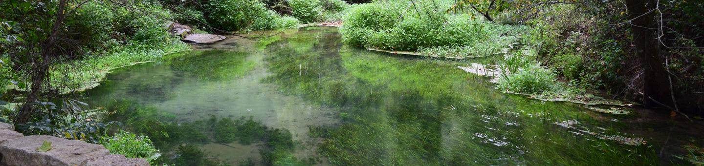 Camper submitted image from Mark Twain National Forest Lane Spring Recreation Area - 1