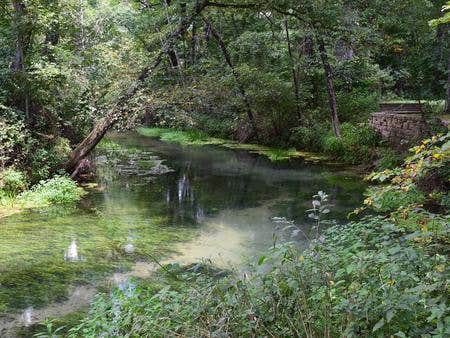 Camper submitted image from Mark Twain National Forest Lane Spring Recreation Area - 2