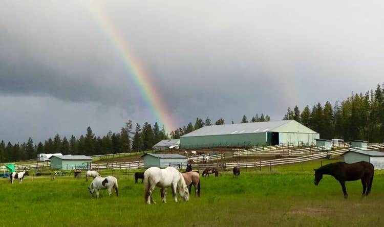 Camper submitted image from 5 Authentic Barn Campsites - 5