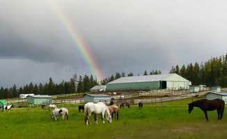 Jennifer B.'s photo of camping with a horse at 5 Authentic Barn Campsites near Harrison, ID