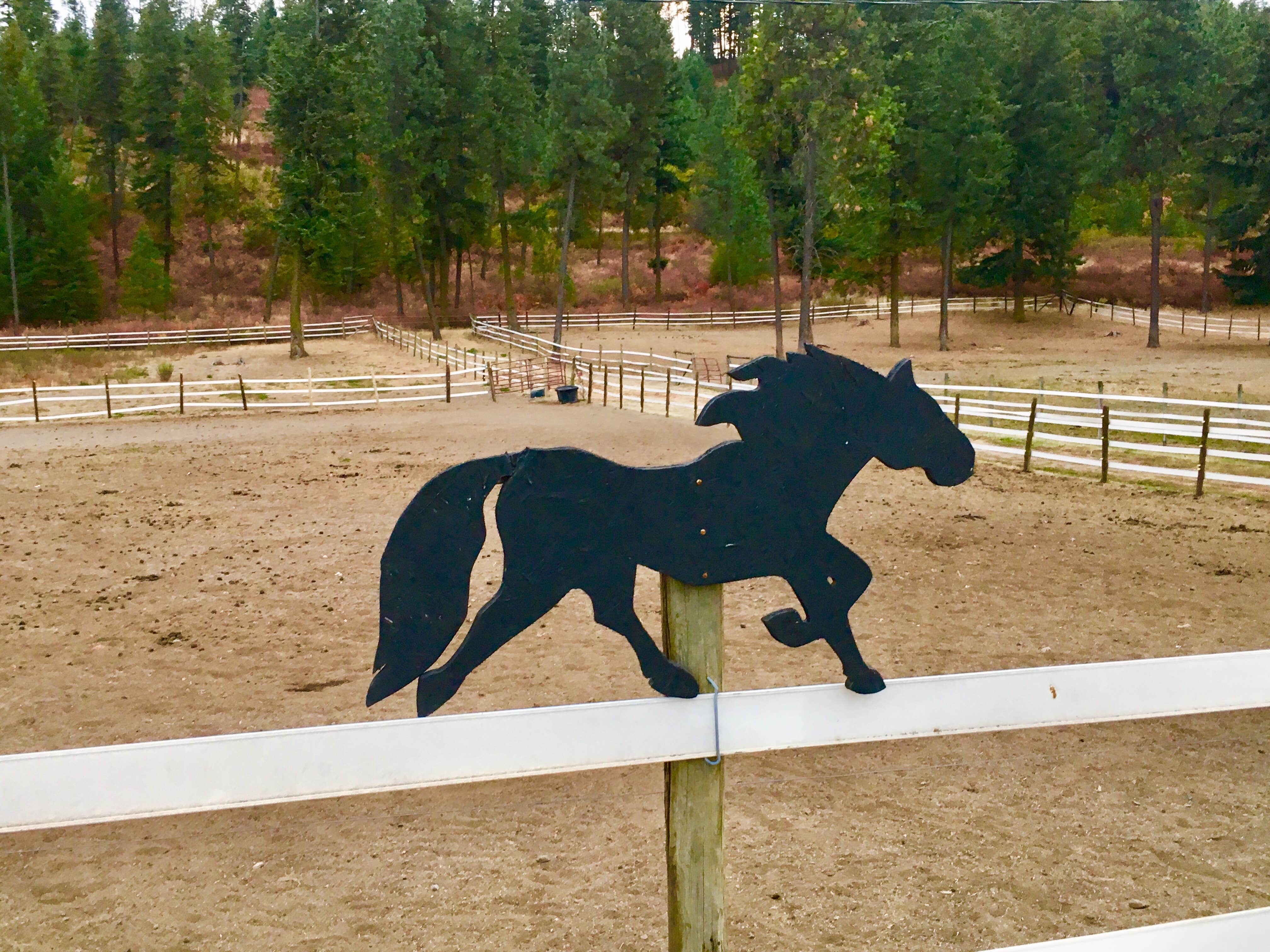 Jennifer B.'s photo of camping with a horse at 5 Authentic Barn Campsites near Newport, WA
