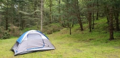 Marcia L.'s photo at Fort Flagler Historical State Park Campground near Chimacum, WA