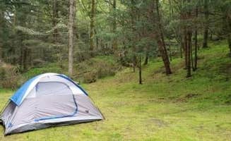 Marcia L.'s photo at Fort Flagler Historical State Park Campground near Port Ludlow, WA