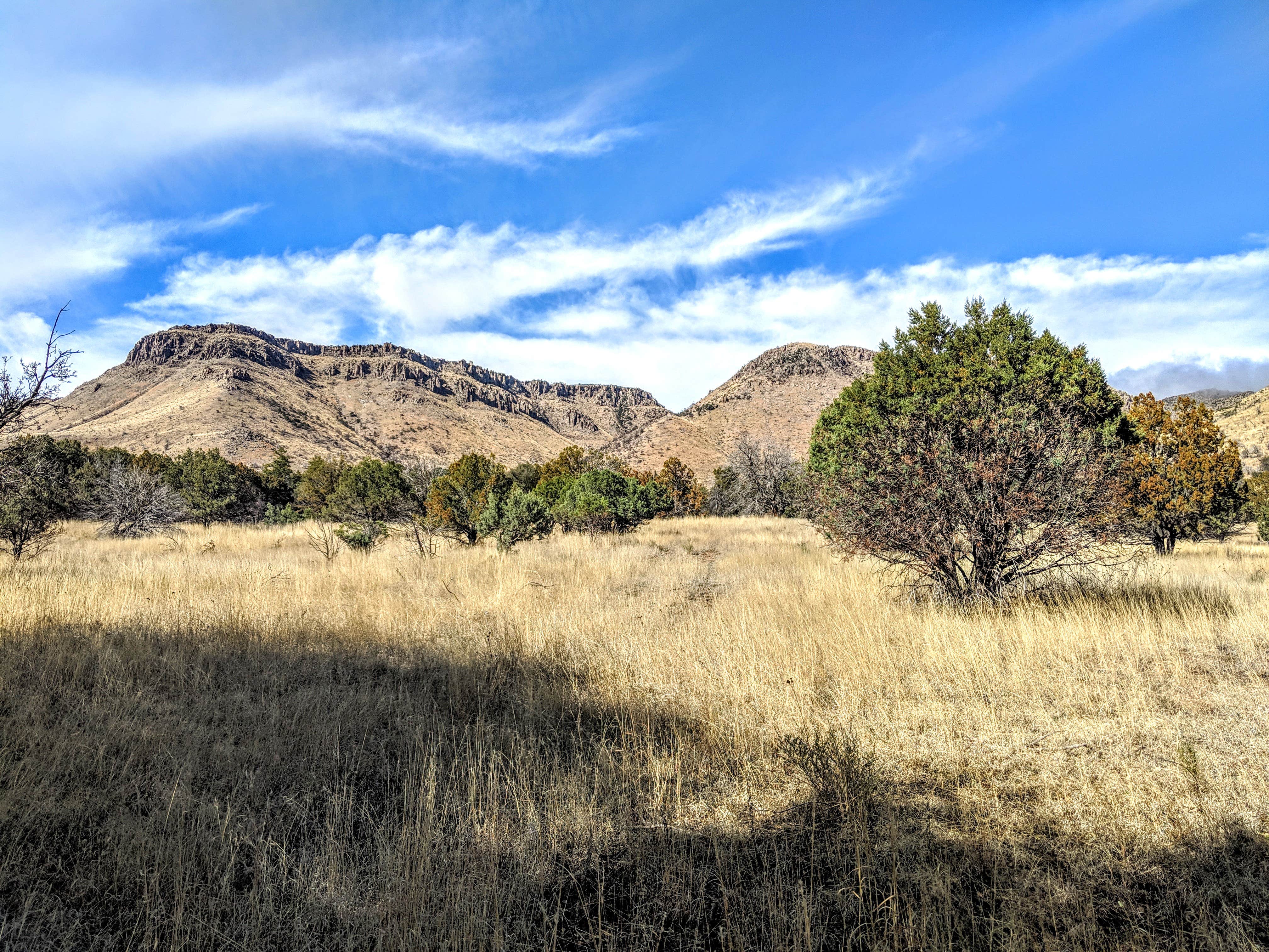 Camper submitted image from Pinery Canyon Road Dispersed Camping - Coronado National Forest - 2