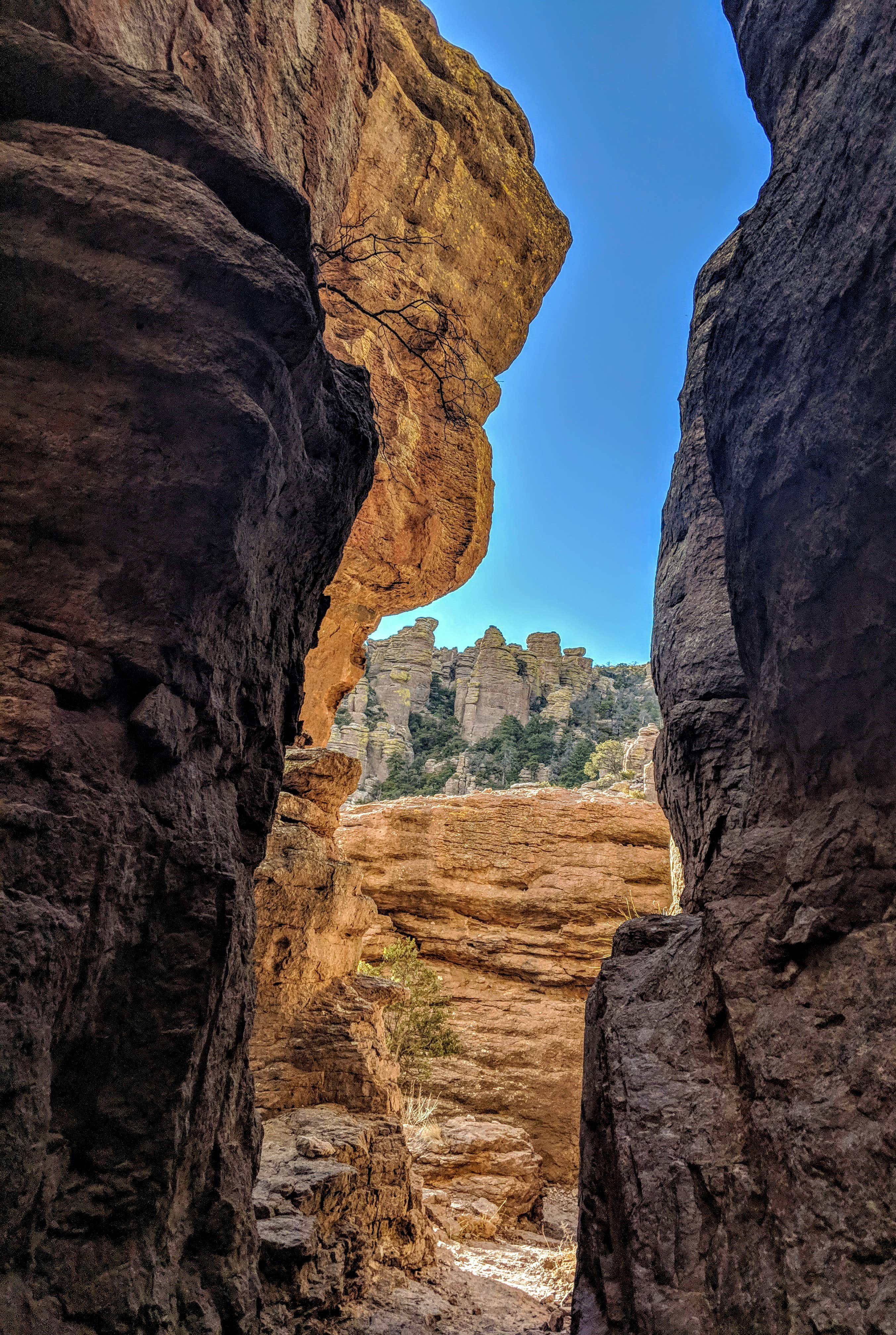 Camper-submitted photo at Pinery Canyon Road Dispersed Camping - Coronado National Forest near Chiricahua, AZ