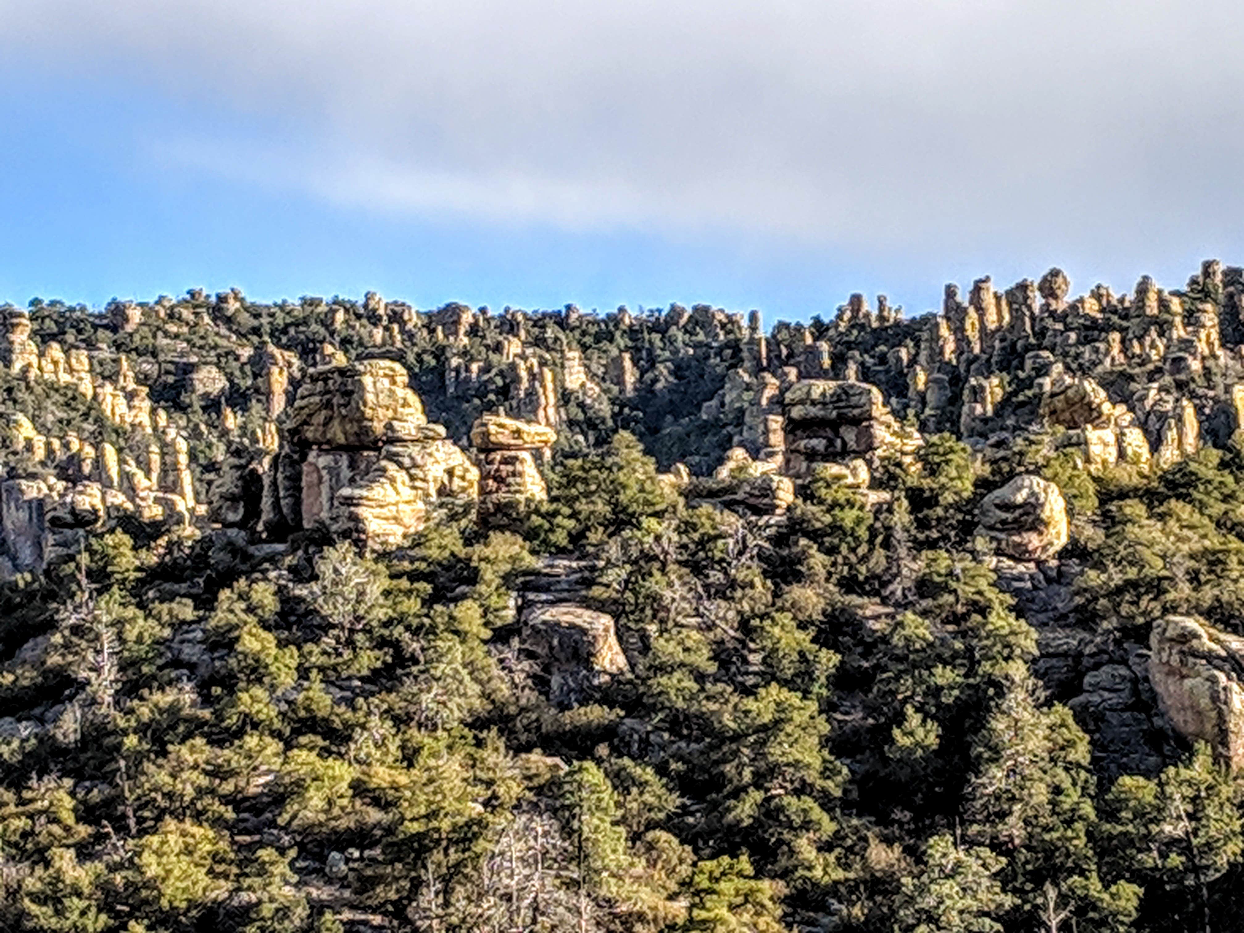 Camper-submitted photo at Pinery Canyon Road Dispersed Camping - Coronado National Forest near Chiricahua, AZ