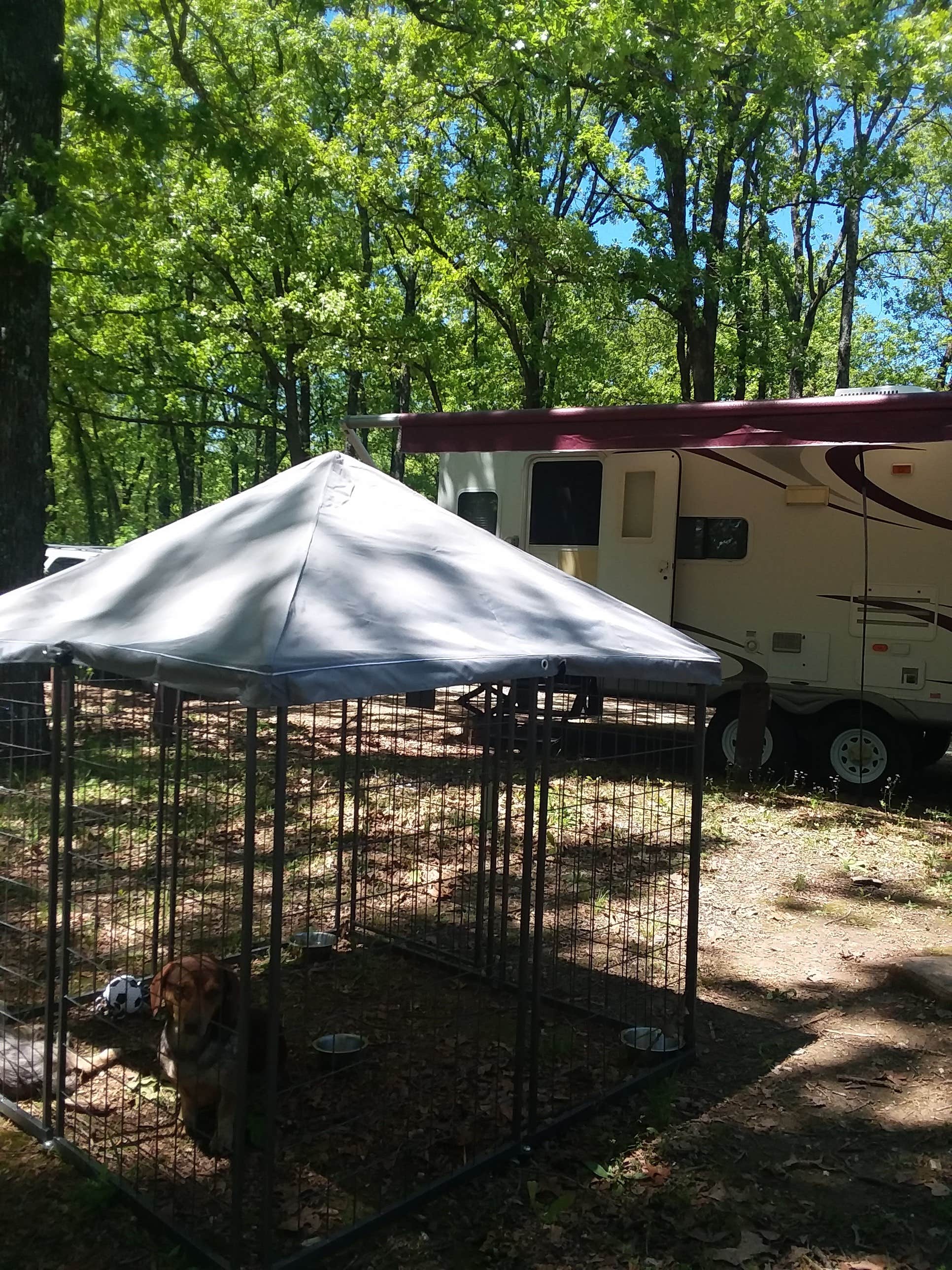 lisa J.'s photo of rv camping at Coffee Mill Lake Recreation Area near Telephone, TX