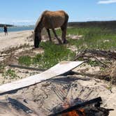 Review photo of South Core Banks -- Beach Camping — Cape Lookout National Seashore by Mike H., April 23, 2019