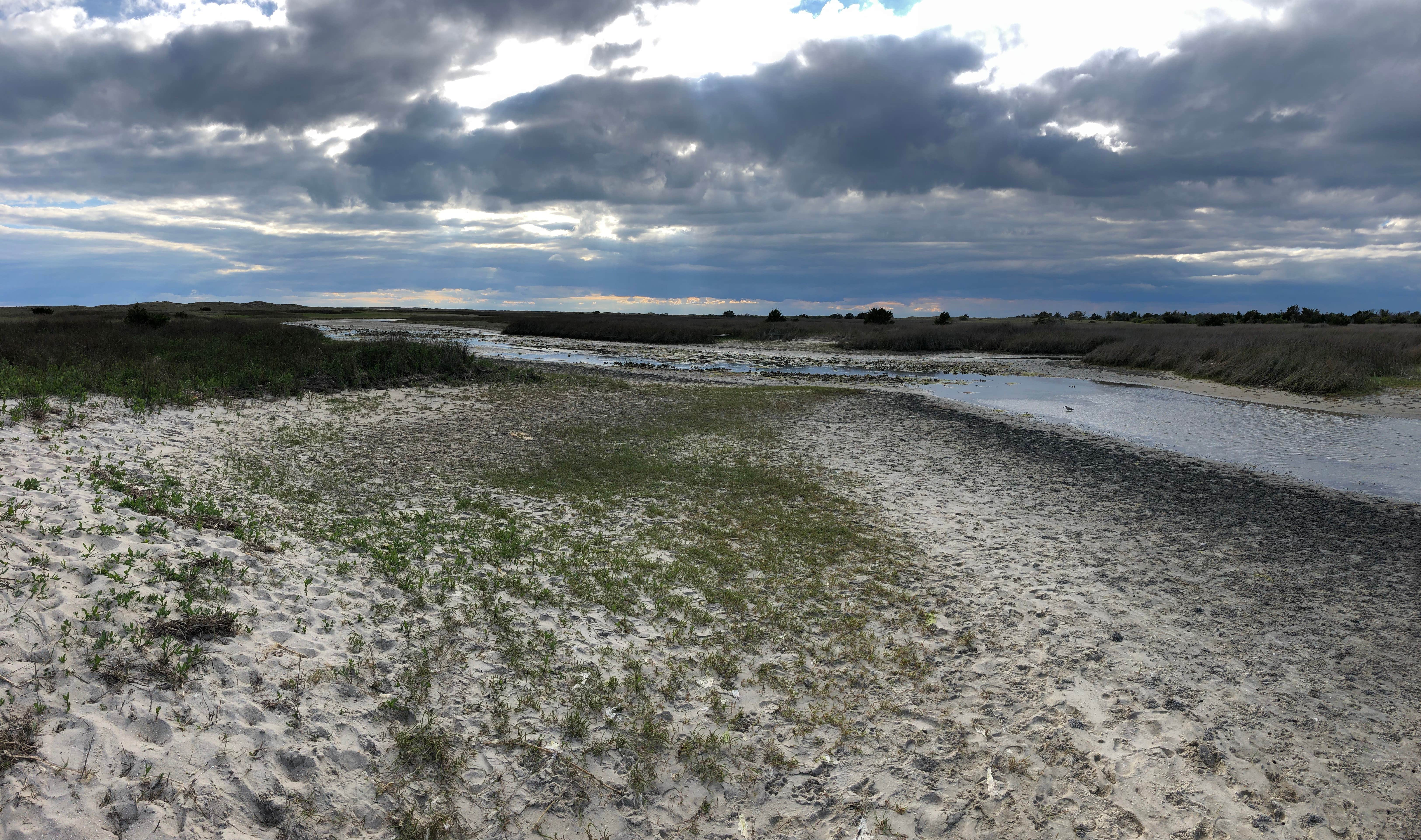 Camper submitted image from South Core Banks -- Beach Camping — Cape Lookout National Seashore - 2