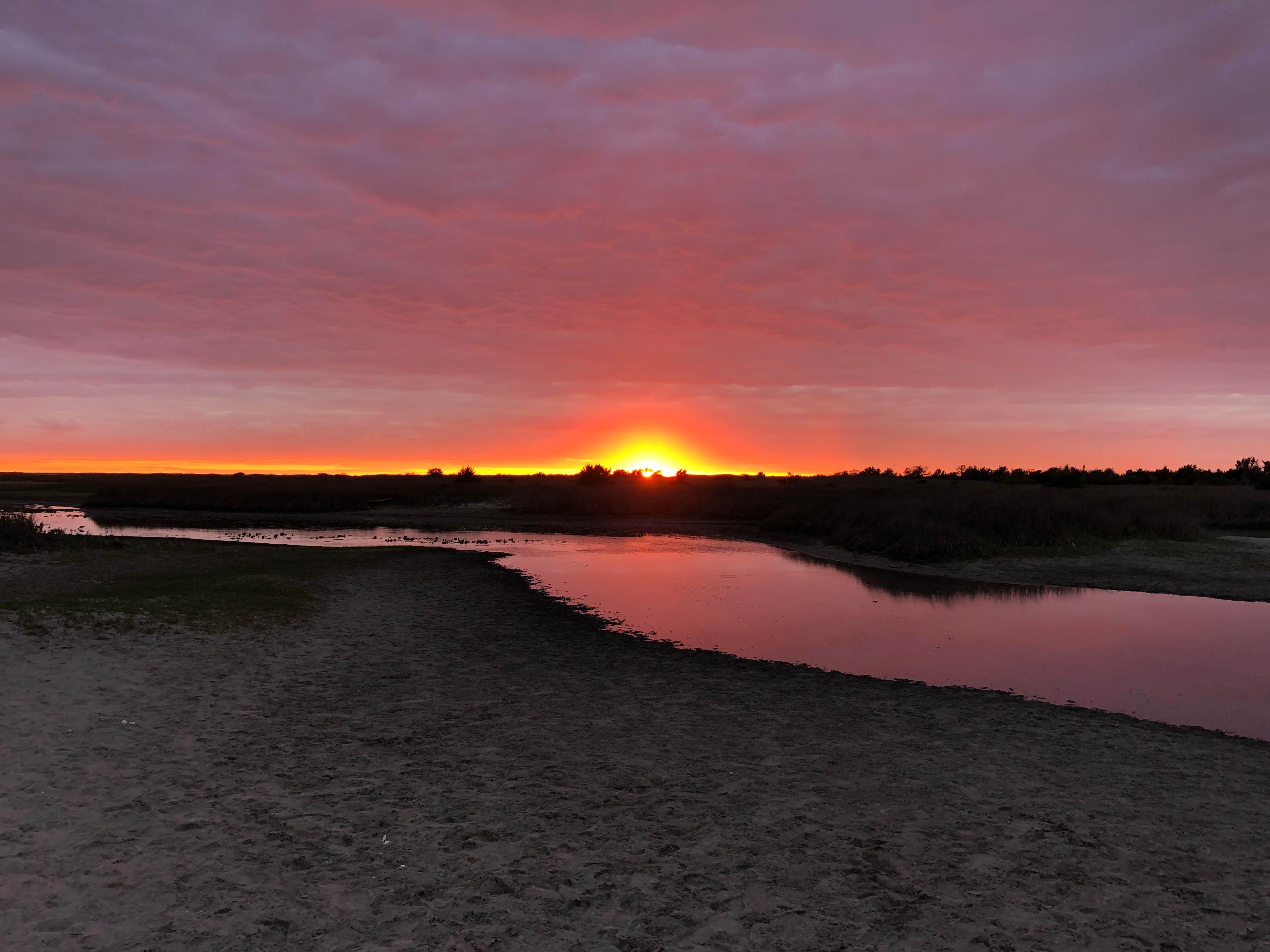 Mike H.'s photo of a dispersed camping area at South Core Banks -- Beach Camping — Cape Lookout National Seashore near Pollocksville, NC