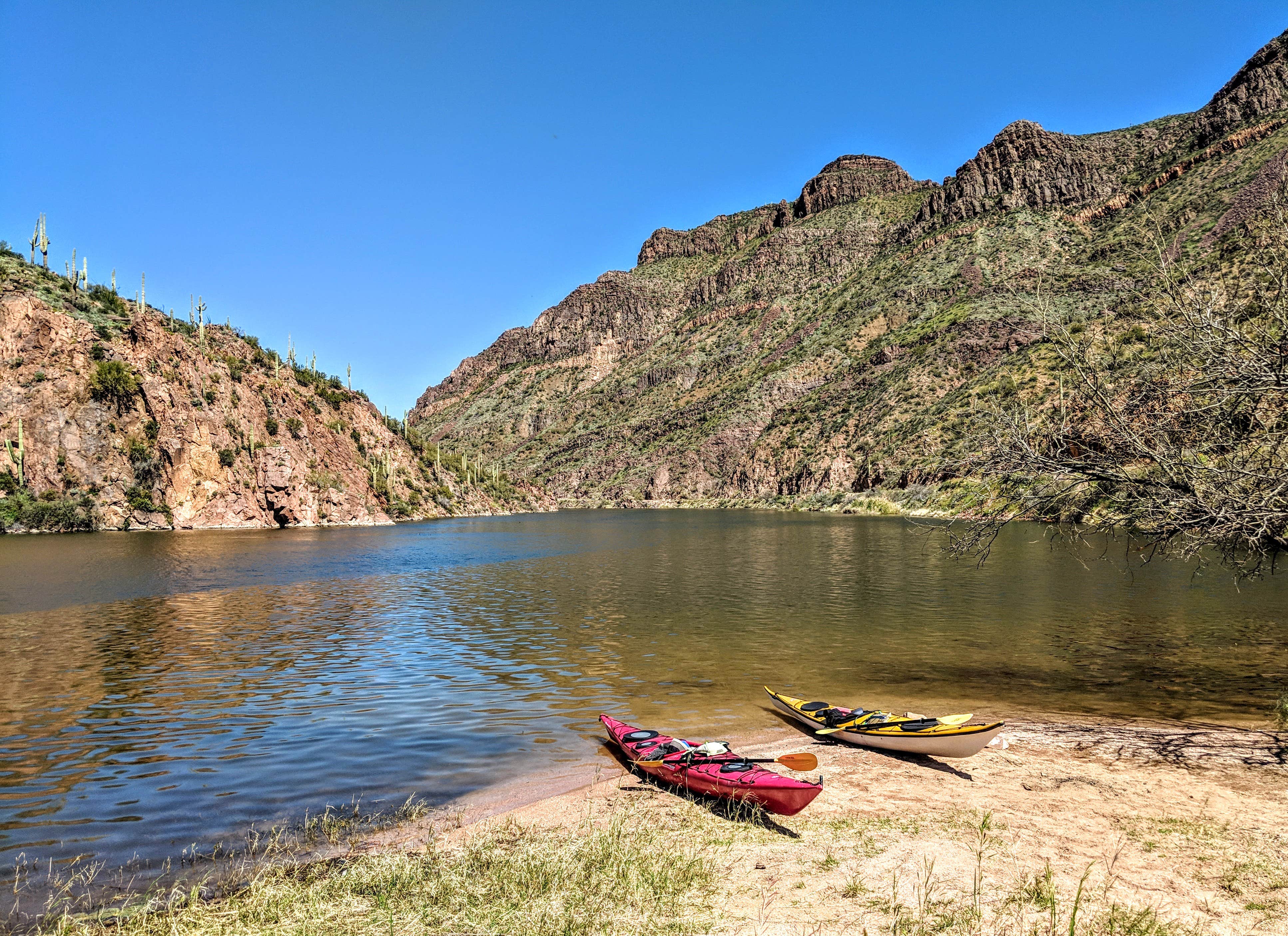 Camper submitted image from Burnt Corral Campground - 4