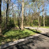 Review photo of Giant City State Park Campground by Shana D., April 23, 2019