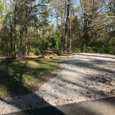 Review photo of Giant City State Park Campground by Shana D., April 23, 2019