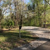 Review photo of Giant City State Park Campground by Shana D., April 23, 2019