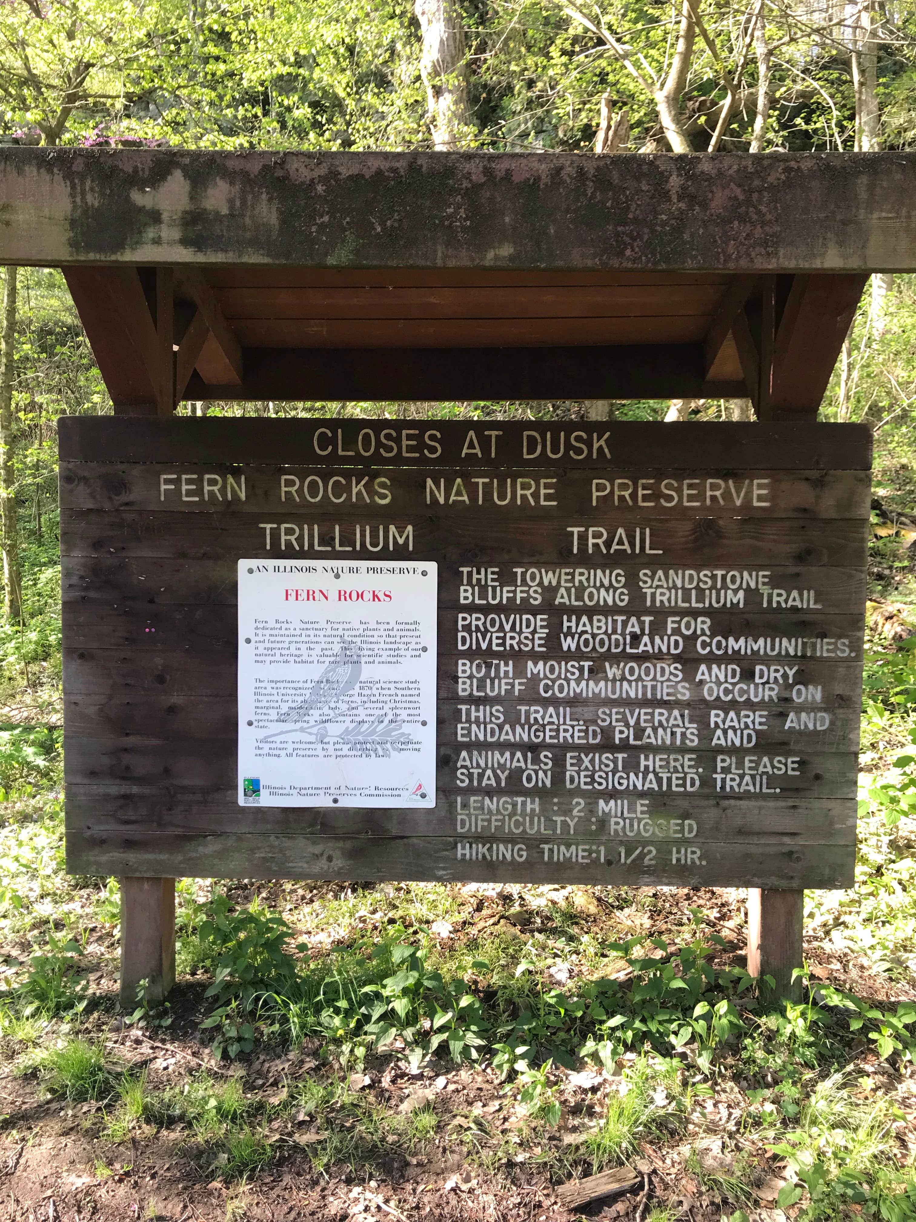 Camper submitted image from Giant City State Park Campground - 5