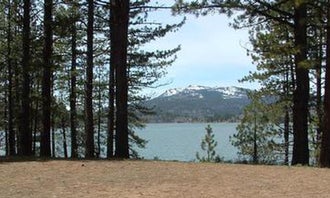 Camping near Meadow View Equestrian Campground: Plumas National Forest Big Cove Campground, Chilcoot, California