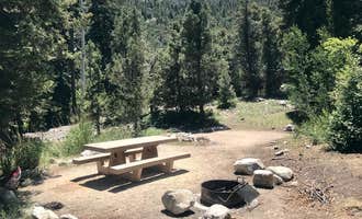 Camping near BLM at Great Basin: Upper Lehman Creek Campground — Great Basin National Park, Baker, Nevada