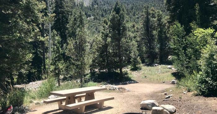 Upper Lehman Creek Campground — Great Basin National Park